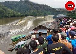 Ular Raksasa Di Sungai Kapuas Kalimantan Barat